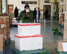 Estado distribui mais 205 mil vacinas contra a Covid-19; veja divisão por regional