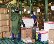 Estado distribui mais 205 mil vacinas contra a Covid-19; veja divisão por regional