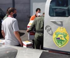 Estado distribui mais 205 mil vacinas contra a Covid-19; veja divisão por regional