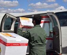 Estado distribui mais 205 mil vacinas contra a Covid-19; veja divisão por regional