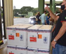 Mais 242 mil vacinas contra a Covid-19 chegam ao Paraná
