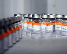 Paraná recebe novas doses da Coronavac e inicia logística para distribuir 367 mil vacinas