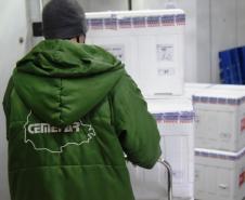 Paraná recebe novo lote com 244,8 mil vacinas contra a Covid-19