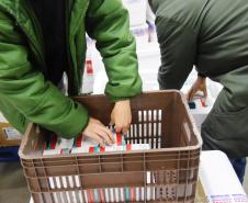 Paraná recebe novo lote com 244,8 mil vacinas contra a Covid-19