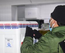 A 17ª pauta de distribuição de vacinas contra a Covid-19 do Ministério da Saúde foi ajustada com a inclusão de mais doses do imunizante CoronaVac da parceria entre Sinovac e Instituto Butantan. O Paraná recebeu mais 62 mil doses da vacina nesta sexta-feira (14). 