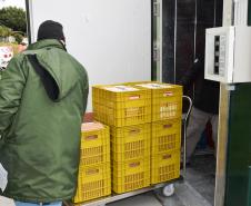 A 17ª pauta de distribuição de vacinas contra a Covid-19 do Ministério da Saúde foi ajustada com a inclusão de mais doses do imunizante CoronaVac da parceria entre Sinovac e Instituto Butantan. O Paraná recebeu mais 62 mil doses da vacina nesta sexta-feira (14). 