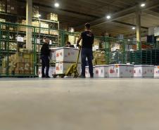 Desembarcam no Paraná 374,1 mil doses da vacina da AstraZeneca contra Covid-19