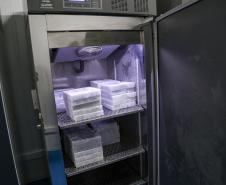 vacinas contra Covid-19 produzidas pela parceria entre Pfizer e BioNTech. O terceiro lote dos imunizantes, que chegou à Capital nesta terça-feira (18), com mais 39.780 doses 