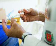 Nova distribuição de vacinas da Pfizer inclui nove municípios do Paraná
