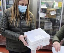 Governo do Estado descentraliza vacinas da Pfizer e municípios já recebem as doses