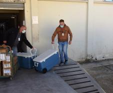 Governo do Estado descentraliza vacinas da Pfizer e municípios já recebem as doses