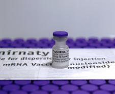 Quarta remessa das vacinas da Pfizer chega nesta quarta-feira