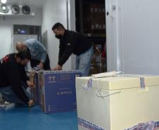 Lote com mais de 37,4 mil vacinas da Pfizer chegam ao Paraná