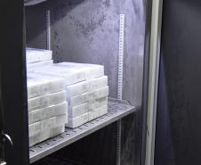 Lote com mais de 37,4 mil vacinas da Pfizer chegam ao Paraná