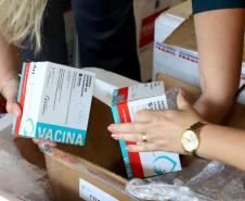 Novo lote prevê quase 400 mil vacinas contra a Covid-19 para o Paraná