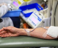 Com estoque 40% abaixo do ideal, Hemepar faz apelo à população para doar sangue.
