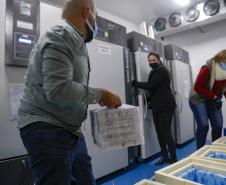 Parte das novas vacinas contra a Covid-19 chega ao Paraná já nesta quinta