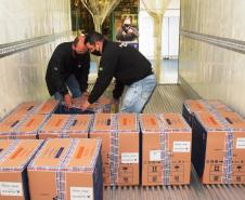 Paraná recebe 234 mil vacinas contra a Covid-19; doses da Pfizer vão para os 399 municípios