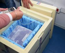 Paraná recebe 234 mil vacinas contra a Covid-19; doses da Pfizer vão para os 399 municípios