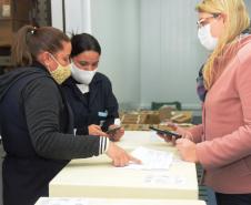 Paraná recebe 234 mil vacinas contra a Covid-19; doses da Pfizer vão para os 399 municípios