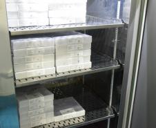 Paraná recebe 234 mil vacinas contra a Covid-19; doses da Pfizer vão para os 399 municípios
