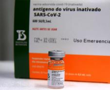 Paraná separa 439,3 mil vacinas para novos grupos e inicia distribuição; veja quem será atendido