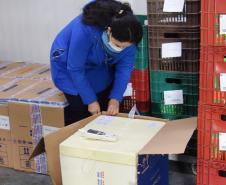 99% dos novos imunizantes vão para população em geral; distribuição começa nesta quinta