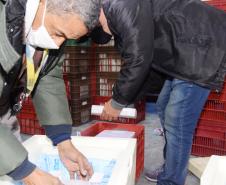 99% dos novos imunizantes vão para população em geral; distribuição começa nesta quinta