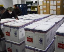 99% dos novos imunizantes vão para população em geral; distribuição começa nesta quinta