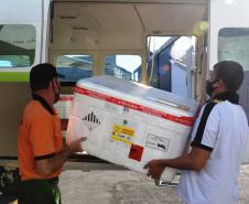 Governo completa distribuição das vacinas contra a Covid-19 da semana e envia mais medicamentos
