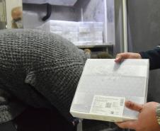 Paraná recebe 548 mil vacinas contra a Covid-19 para continuar campanha de imunização
