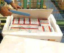 Lote com 235,5 mil vacinas contra a Covid-19 chega ao Paraná nesta quinta-feira