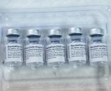 Vacinação em São José dos Pinhais