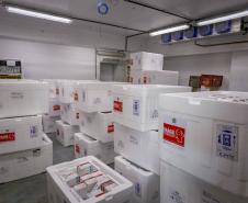 29/07/2021 - Distribuição de vacinas para Regionais 