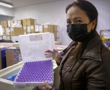 Paraná receberá 180.180 vacinas da Pfizer neste sábado, parte do novo lote da semana