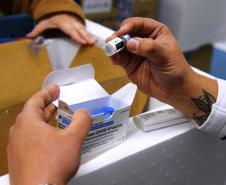 Mais 279,2 mil vacinas contra a Covid-19 chegam ao Paraná
