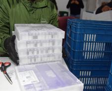 Mais 279,2 mil vacinas contra a Covid-19 chegam ao Paraná