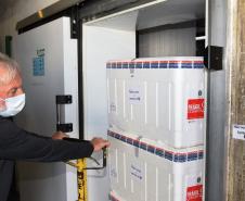 Mais 67,6 mil vacinas contra a Covid-19 chegam ao Paraná