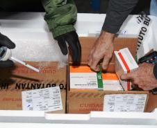 Mais 67,6 mil vacinas contra a Covid-19 chegam ao Paraná