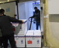 Novo lote com 114 mil vacinas contra a Covid-19 chega ao Paraná