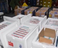 Novo lote com 114 mil vacinas contra a Covid-19 chega ao Paraná