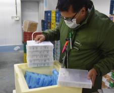 Novo lote com 114 mil vacinas contra a Covid-19 chega ao Paraná