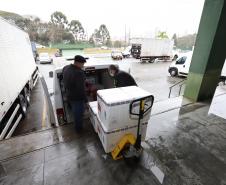 Paraná recebe mais 191,4 mil vacinas contra a Covid-19; distribuição começa no sábado