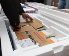 Paraná recebe mais 191,4 mil vacinas contra a Covid-19; distribuição começa no sábado