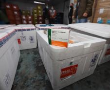 Paraná recebe mais 191,4 mil vacinas contra a Covid-19; distribuição começa no sábado