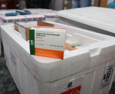 Paraná recebe mais 191,4 mil vacinas contra a Covid-19; distribuição começa no sábado