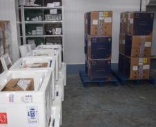 Mais 240,9 mil vacinas contra a Covid-19 chegam ao Paraná