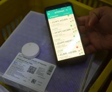 Mais 240,9 mil vacinas contra a Covid-19 chegam ao Paraná