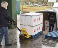 Mais 240,9 mil vacinas contra a Covid-19 chegam ao Paraná