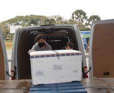Mais 240,9 mil vacinas contra a Covid-19 chegam ao Paraná